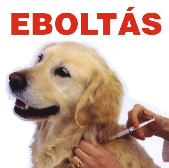 Eboltás 2017